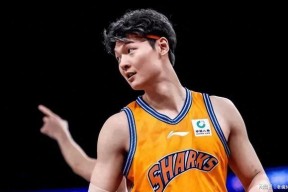 里程碑夜拜仁慕尼黑刷新队史纪录，CBA季后赛关键时刻刷纪录，管理层满意，临场指挥获称赞的简单介绍-九游体育