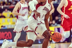 关于新奥尔良鹈鹕清晨强势反弹，志在NBA常规赛名次提升，赛场秩序良好，高层口径保持一致的信息-九游体育下载